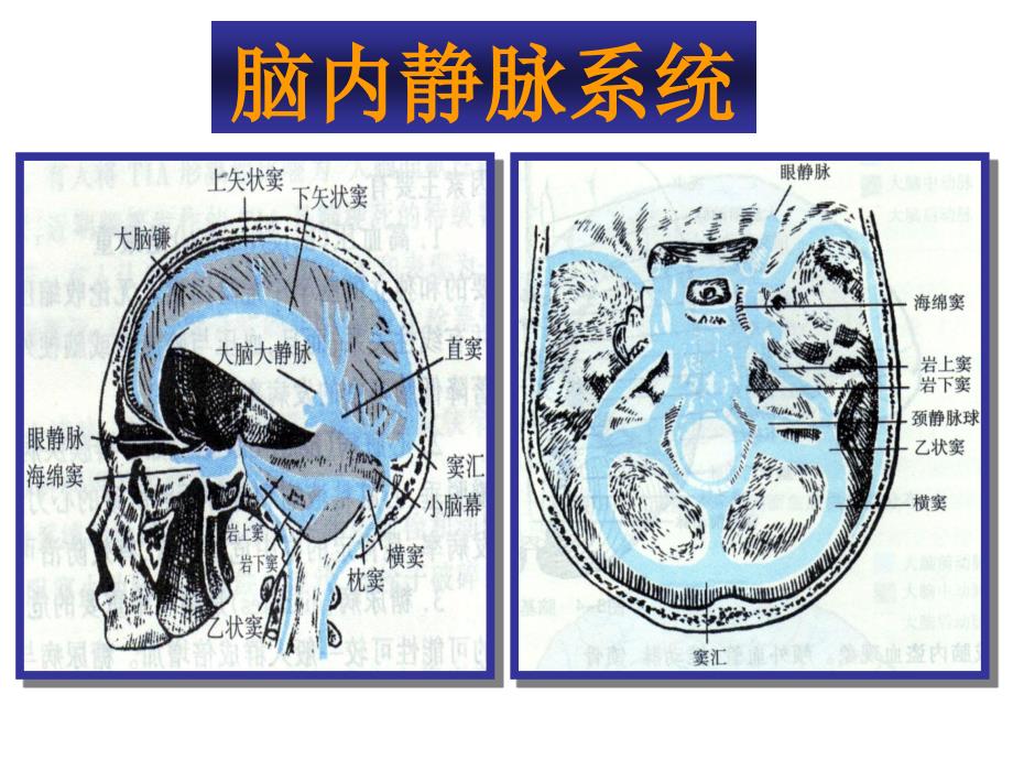 依达拉奉减轻脑水肿和出血课件_第3页