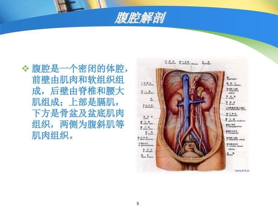 腹腔压力监测ppt课件_第5页