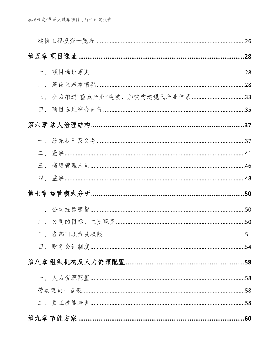 菏泽人造革项目可行性研究报告_第2页