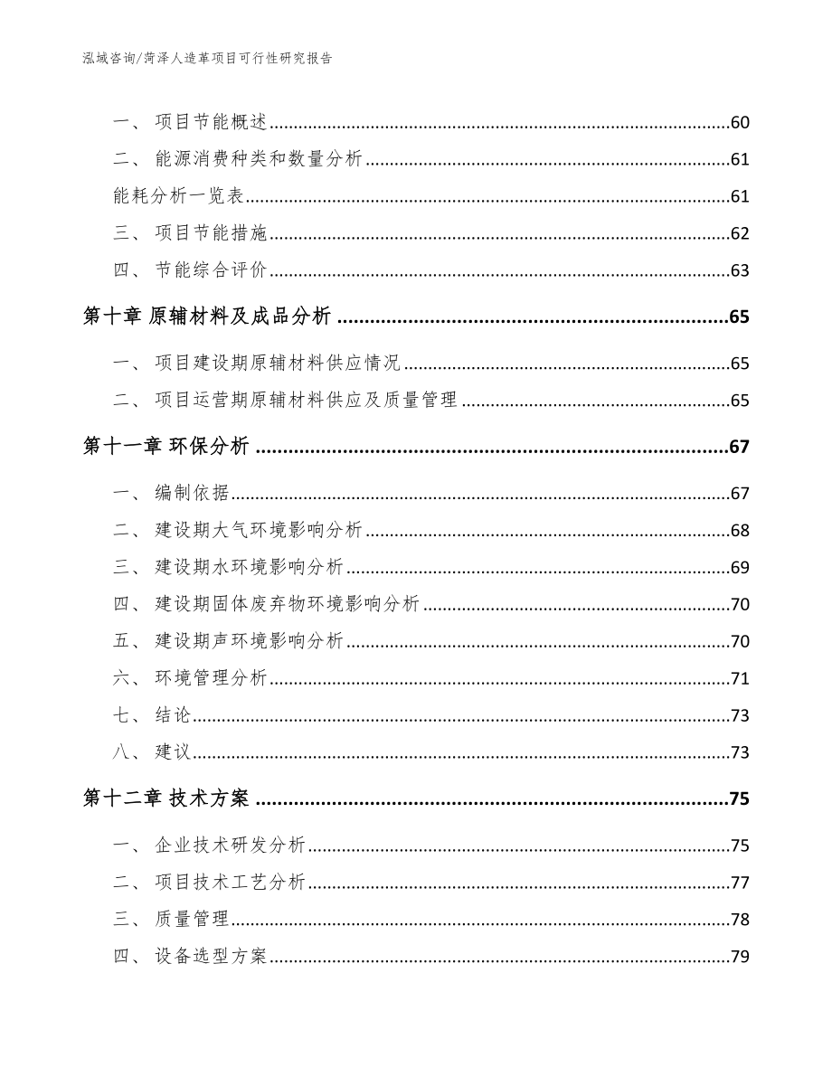 菏泽人造革项目可行性研究报告_第3页