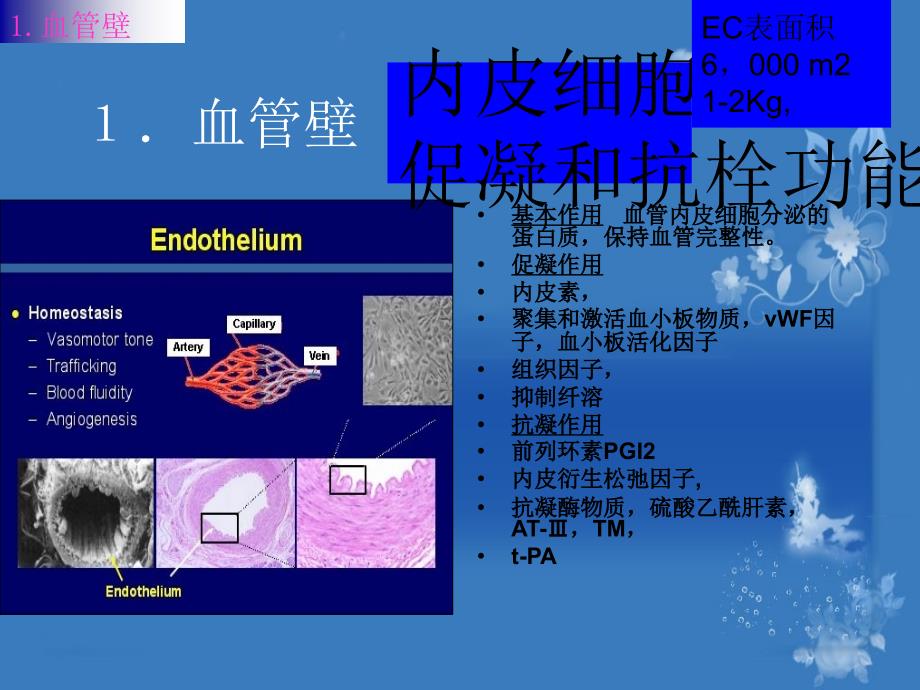 凝血功能检测和解读_第4页