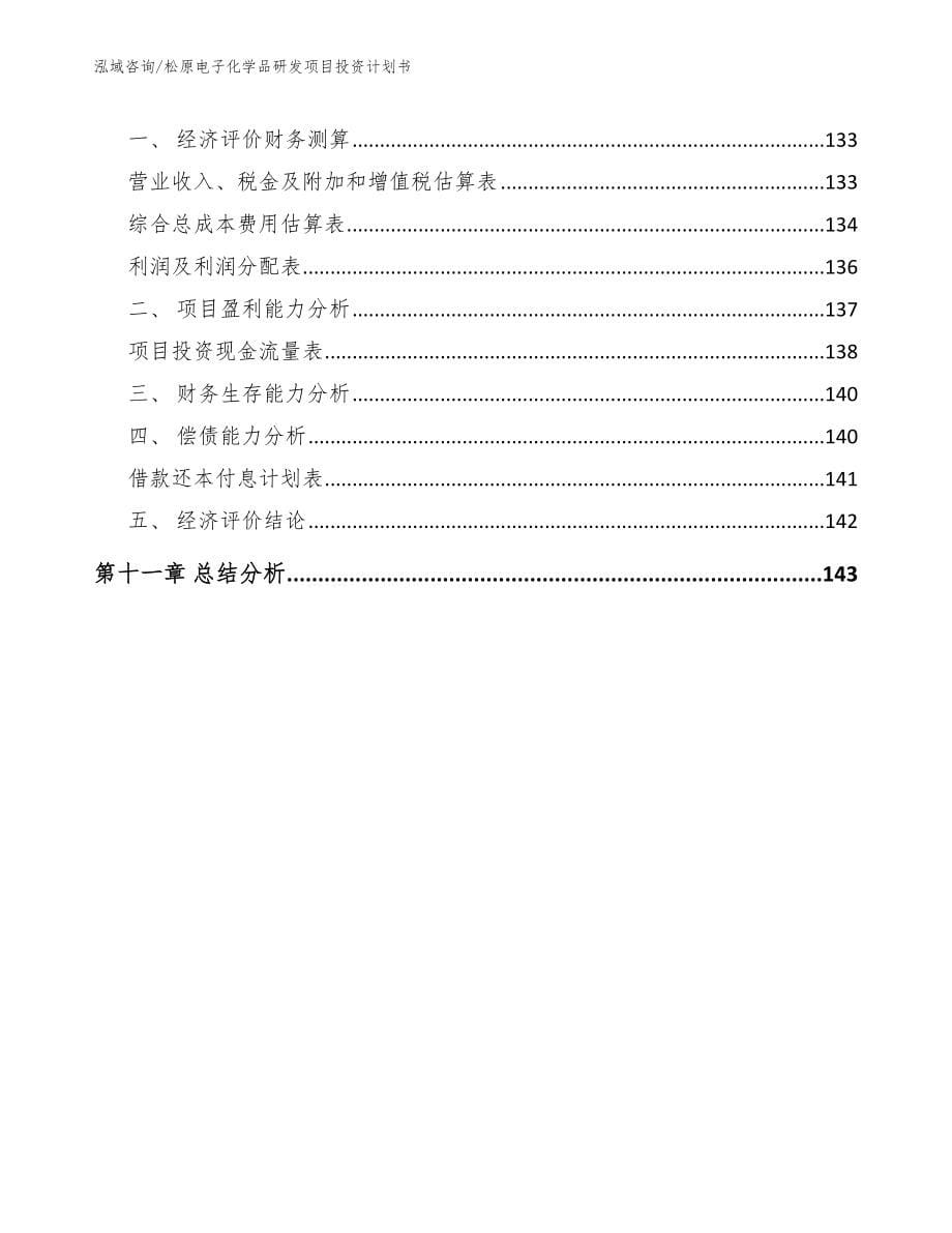 松原电子化学品研发项目投资计划书_第5页