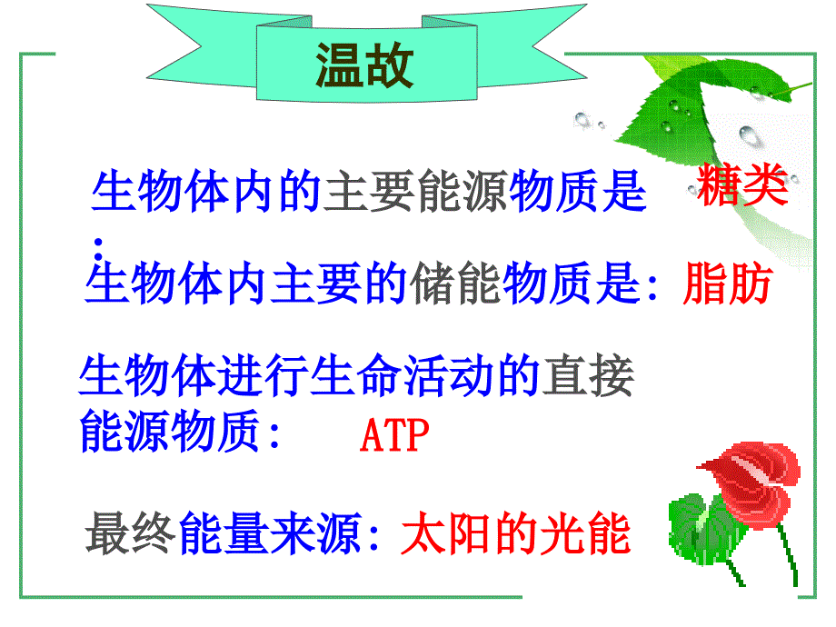 生物体内的主要能源物质是_第1页