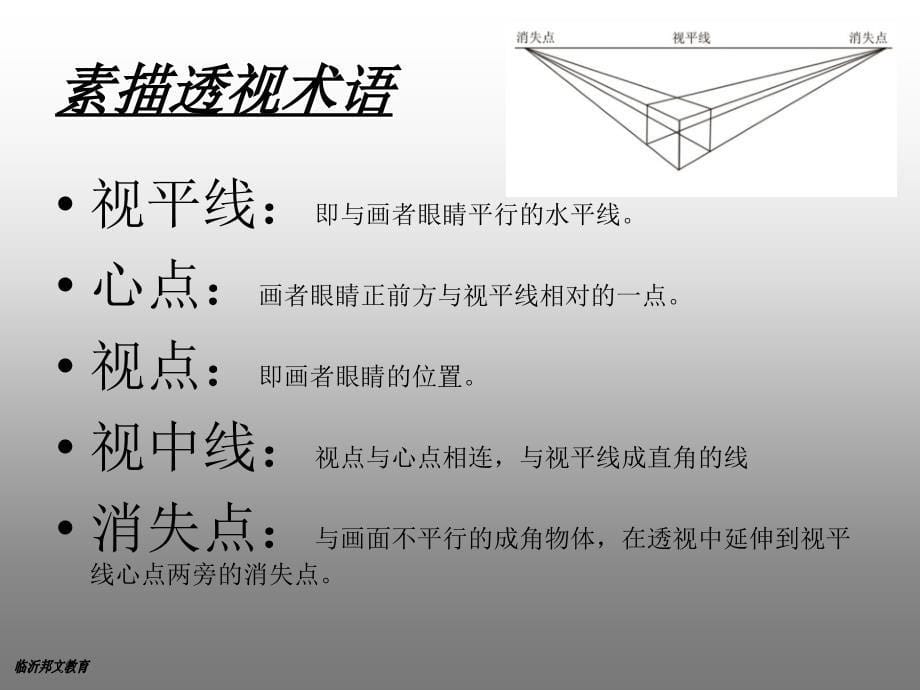 美术素描基础学习_第5页