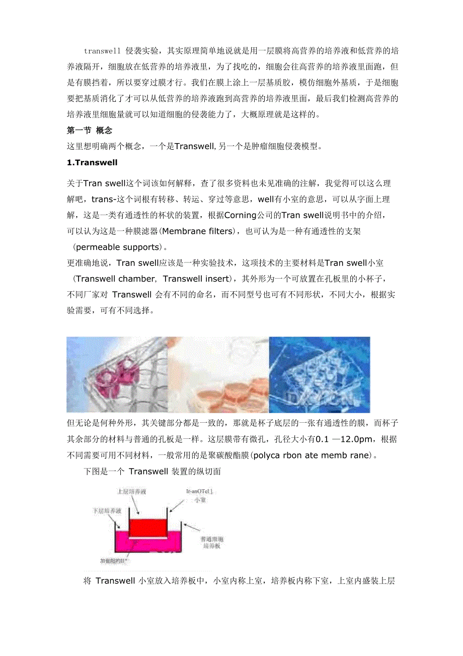 Transwell实验原理与操作步骤_第2页