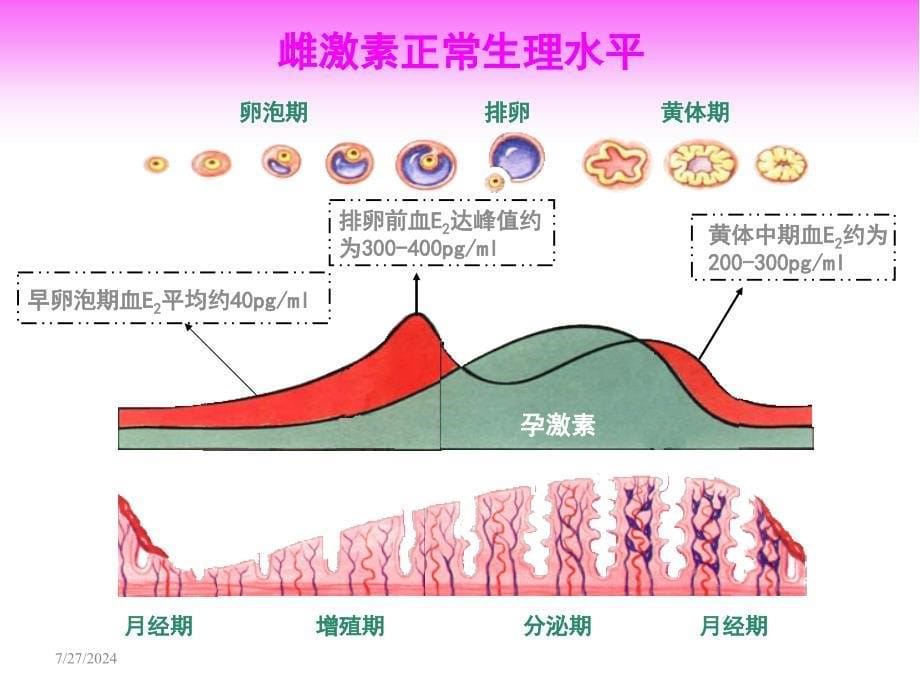 解读更年期妇女症状及应对方案.ppt_第5页