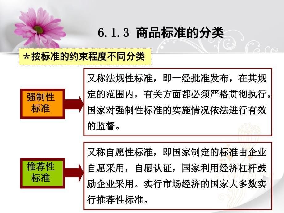 商品标准与标准化概述_第5页