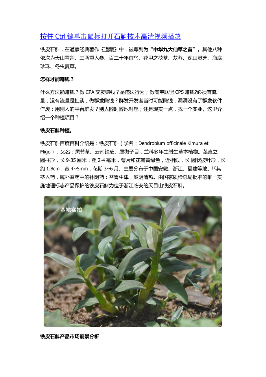 人工种植铁皮石斛怎样赚大钱.doc_第1页