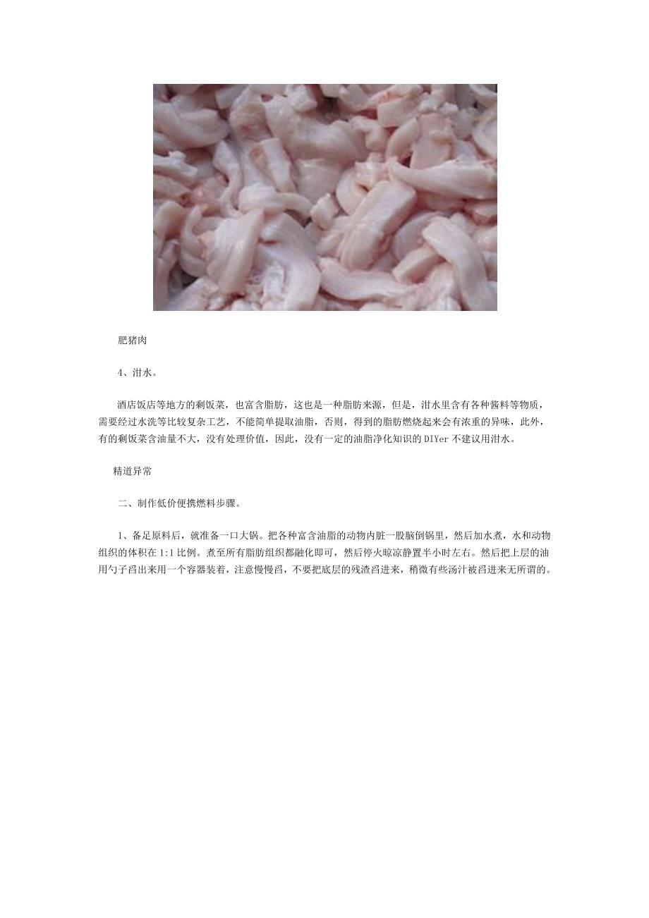 动物脂肪能制作便携燃料.docx_第2页