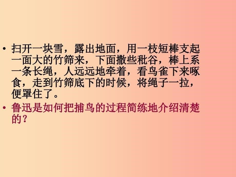 2019年七年级语文上册 第三单元 9 从百草园到三味书屋课件2 新人教版.ppt_第5页