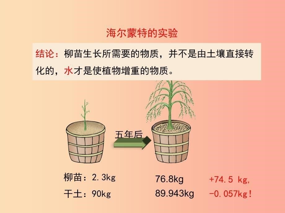 七年级生物上册 2.1.3《绿色植物的光合作用》第一课时课件 （新版）济南版.ppt_第5页