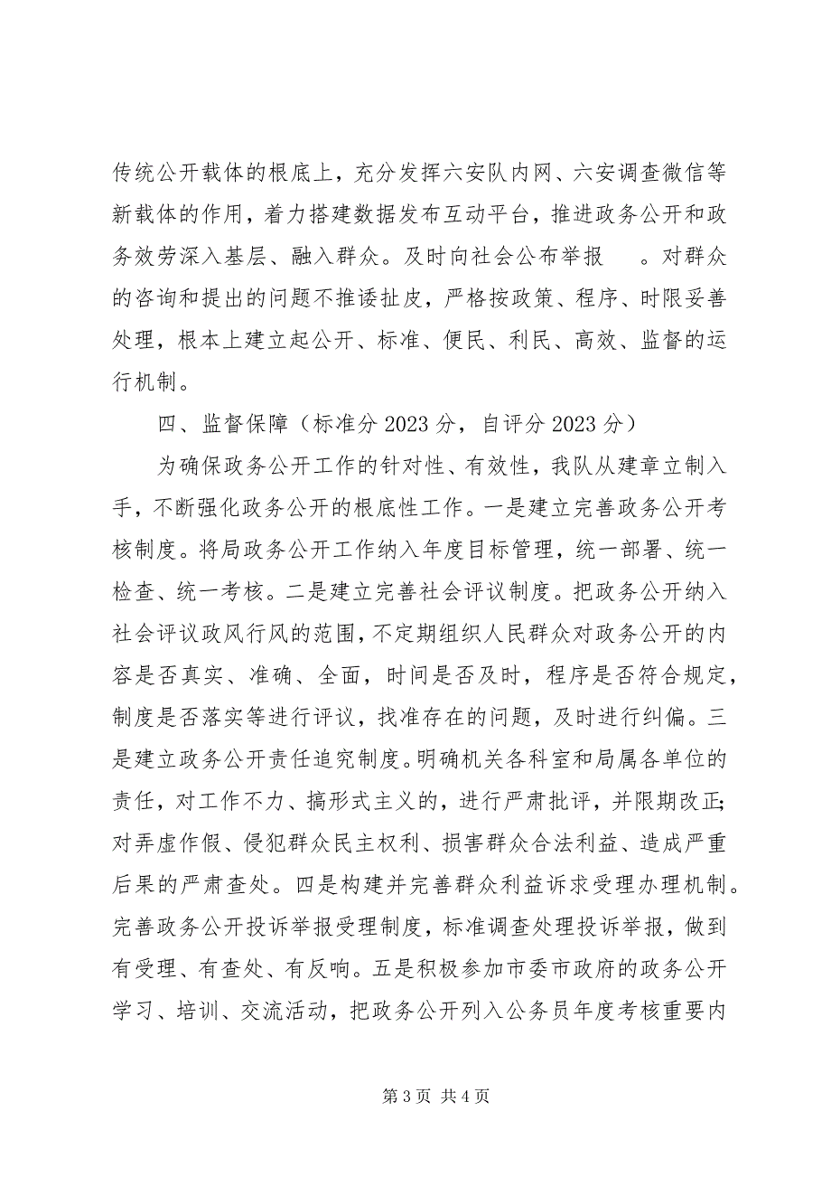 2023年国家统计局某调查队政务公开自评总结.docx_第3页