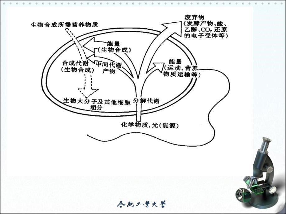 第五发酵机制_第5页