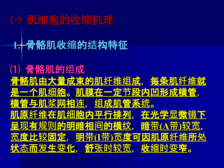 动物生理学第九章肌肉PPT课件_第4页