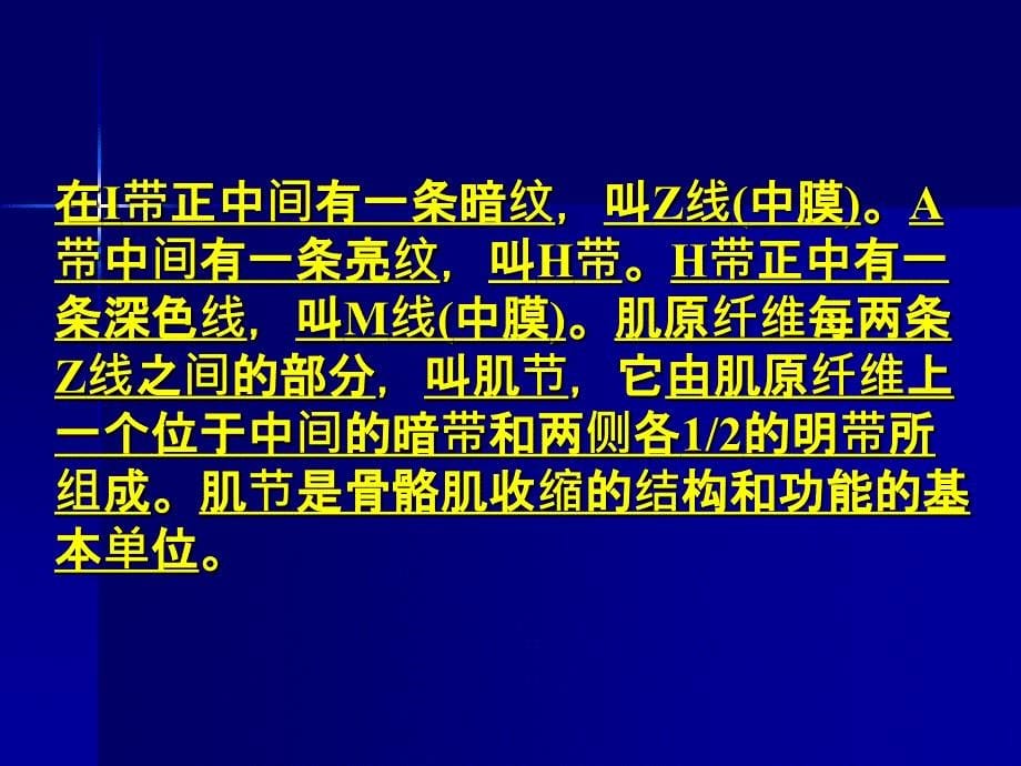 动物生理学第九章肌肉PPT课件_第5页