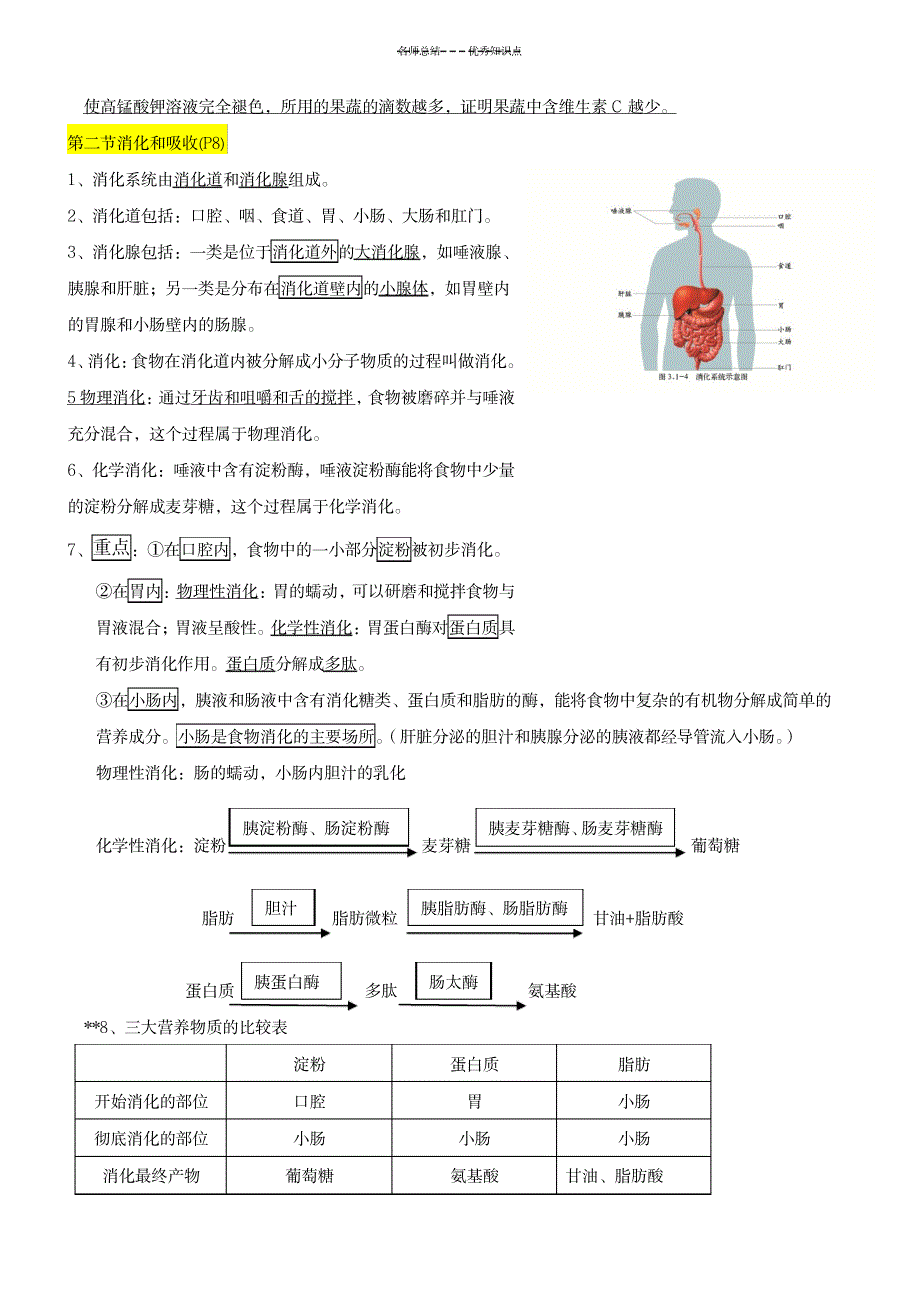 七年级生物下册知识点((济南版)_中学教育-中考_第2页