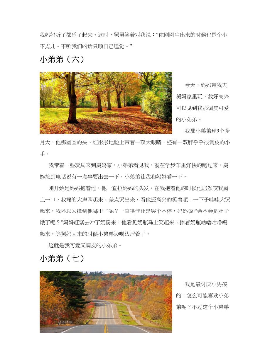 小弟弟(共10篇).docx_第4页