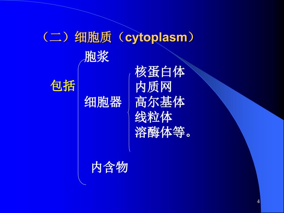 细胞与基本组织课件_第4页