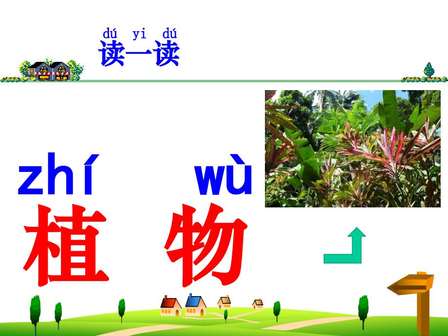 科学一年级上册我们知道的植物_第2页