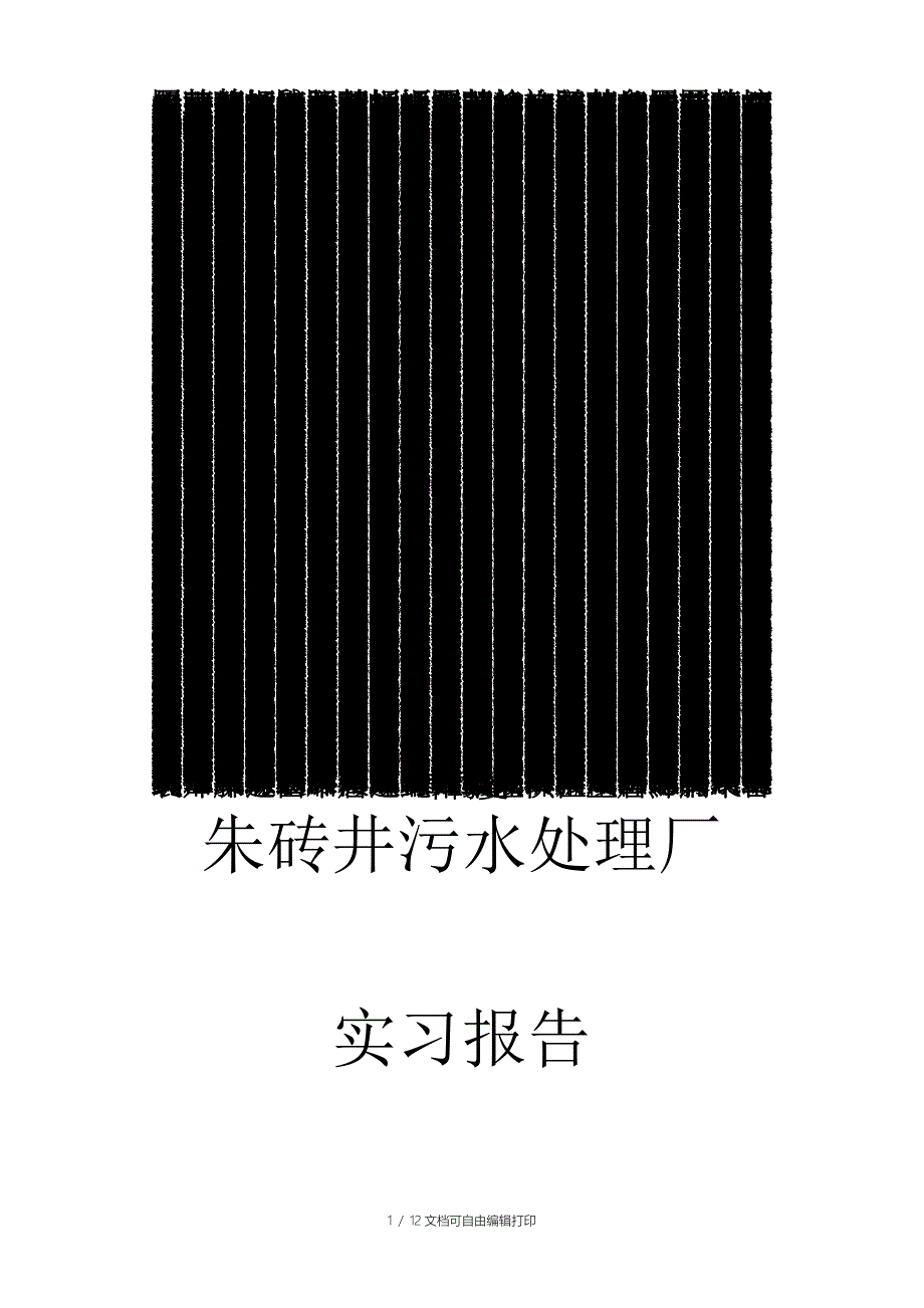 朱砖井实习报告_第1页