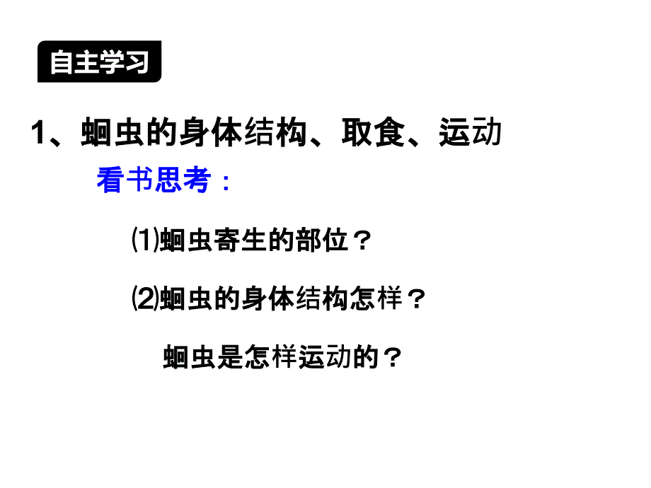 人教版八年级上册5.1.2线形动物和环节动物课件共19张PPT_第3页