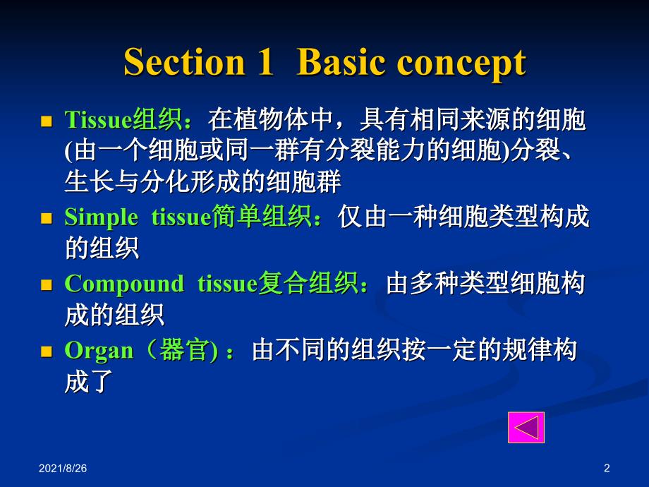 植物学之植物细胞-课件PPT_第2页