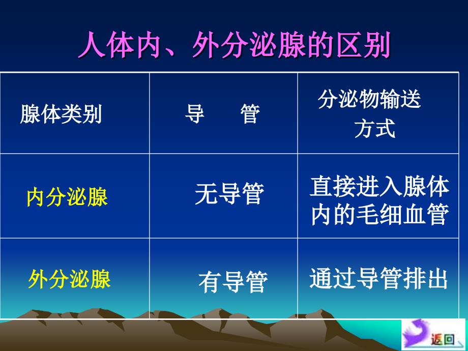 第四部分激素调部分教学课件_第4页