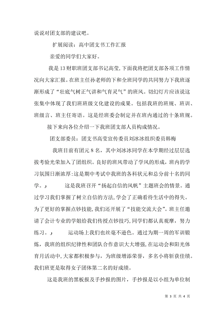 高中团支书工作总结_第3页