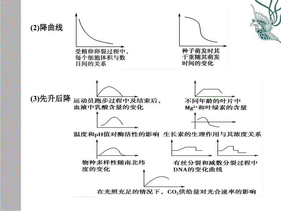 数学模型类高考生物复习第2部分题型突破专题1生物模型建构专训第2讲课件_第5页