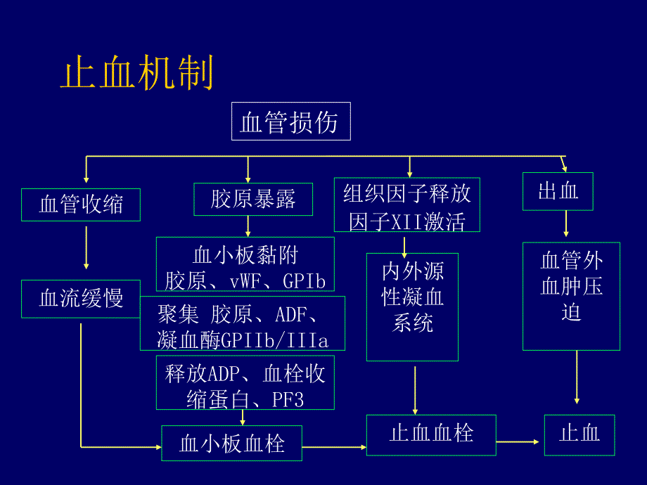 nk第06篇第14章出血性疾病概述PPT文档_第4页