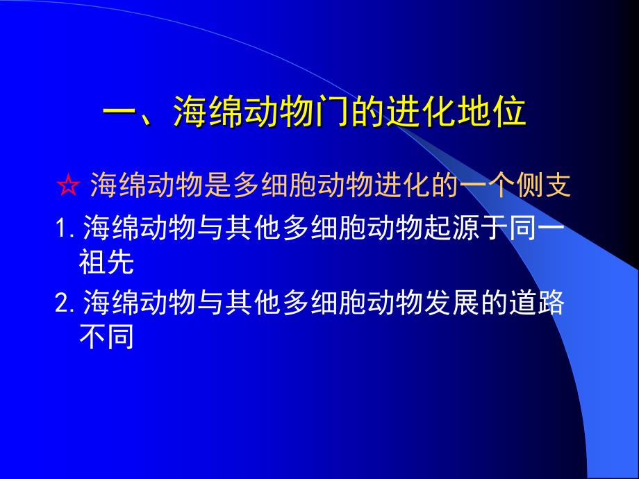 动物的类群多孔动物课件_第3页