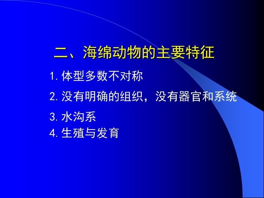 动物的类群多孔动物课件_第5页