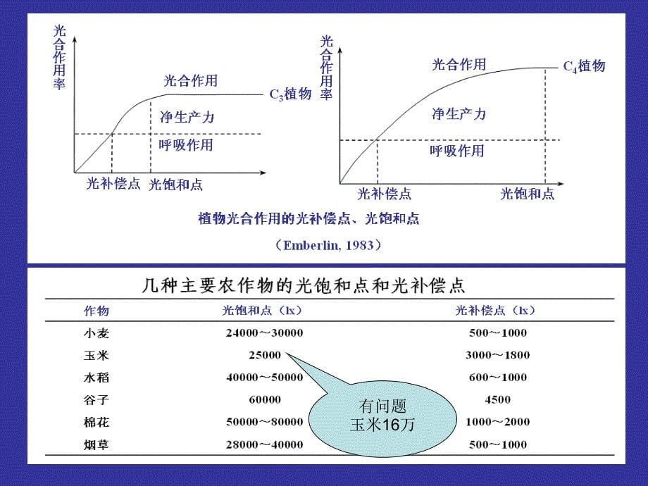 作物生长发育与环境.ppt_第5页