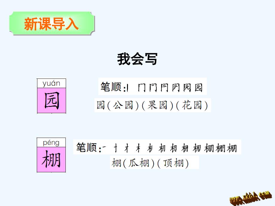 第15课奇异的植物世界_第3页