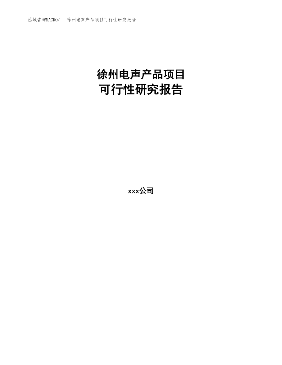徐州电声产品项目研究报告(DOC 100页)_第1页