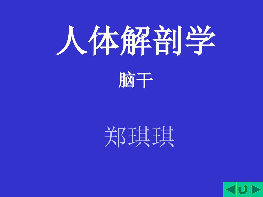 《人体解剖学脑干》PPT课件.ppt_第1页