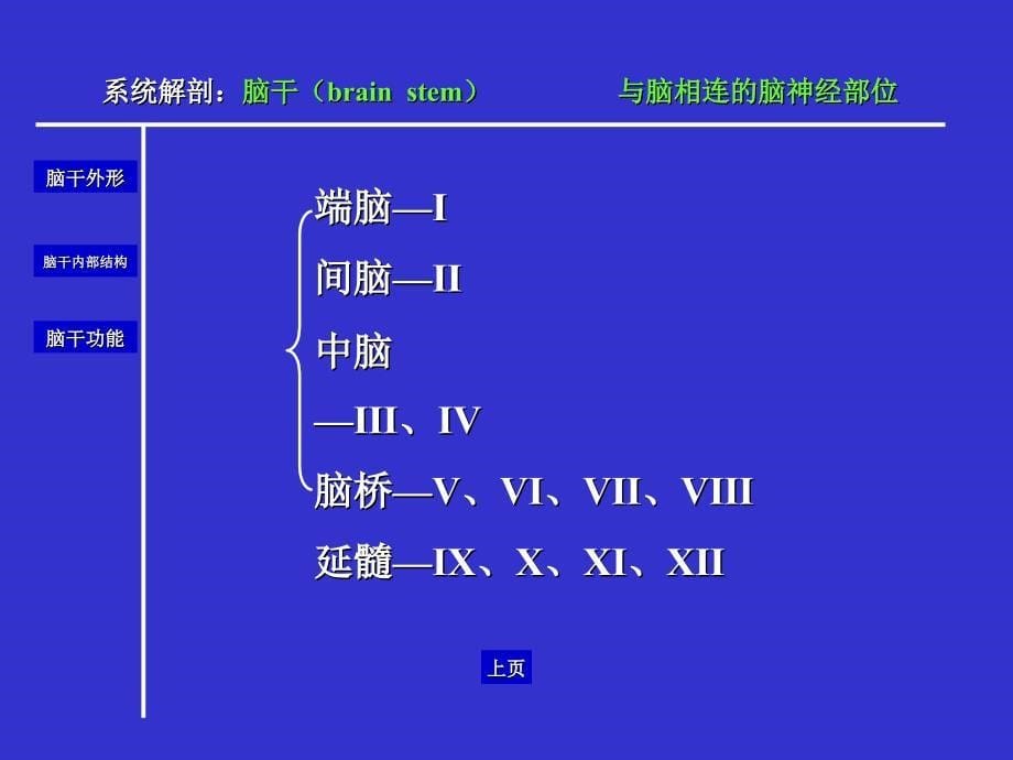 《人体解剖学脑干》PPT课件.ppt_第5页