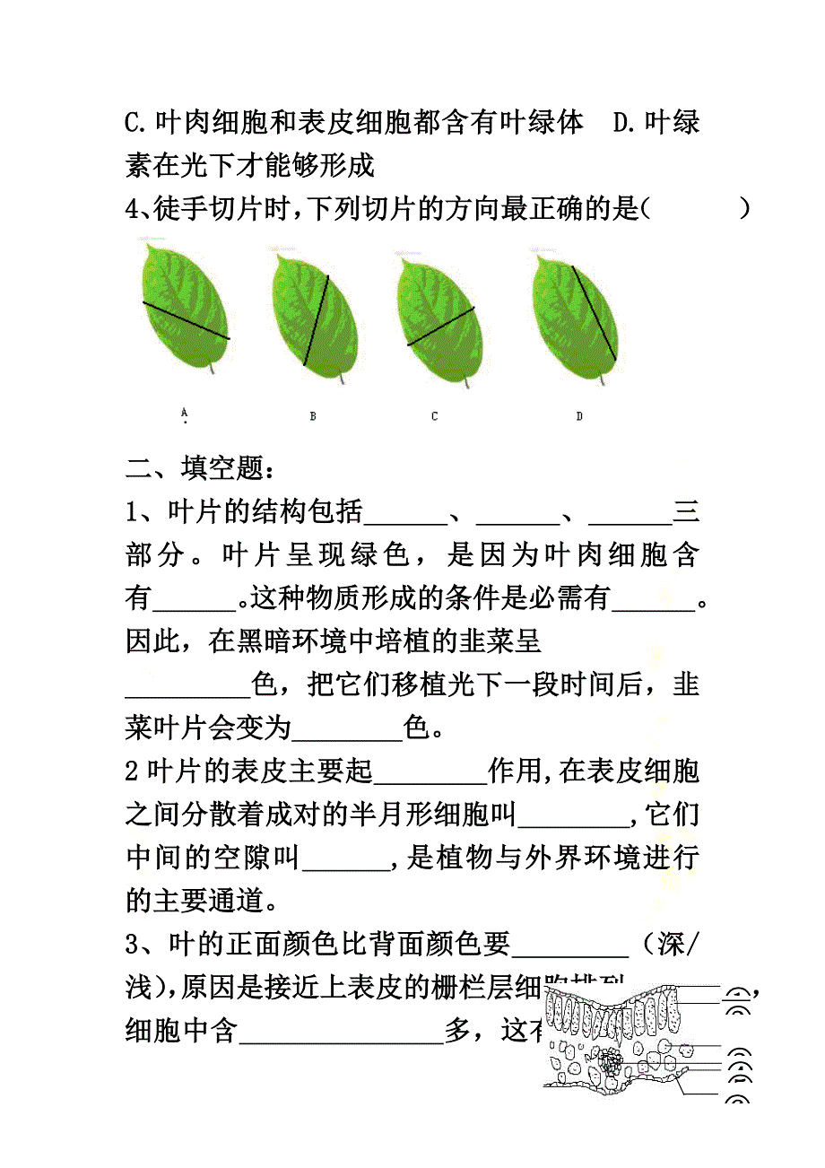 七年级生物上册第3单元生物圈中的绿色植物第6章绿色植物的光合作用和呼吸作用6.2植物光合作用的场所导学案（新版）苏教版_第4页
