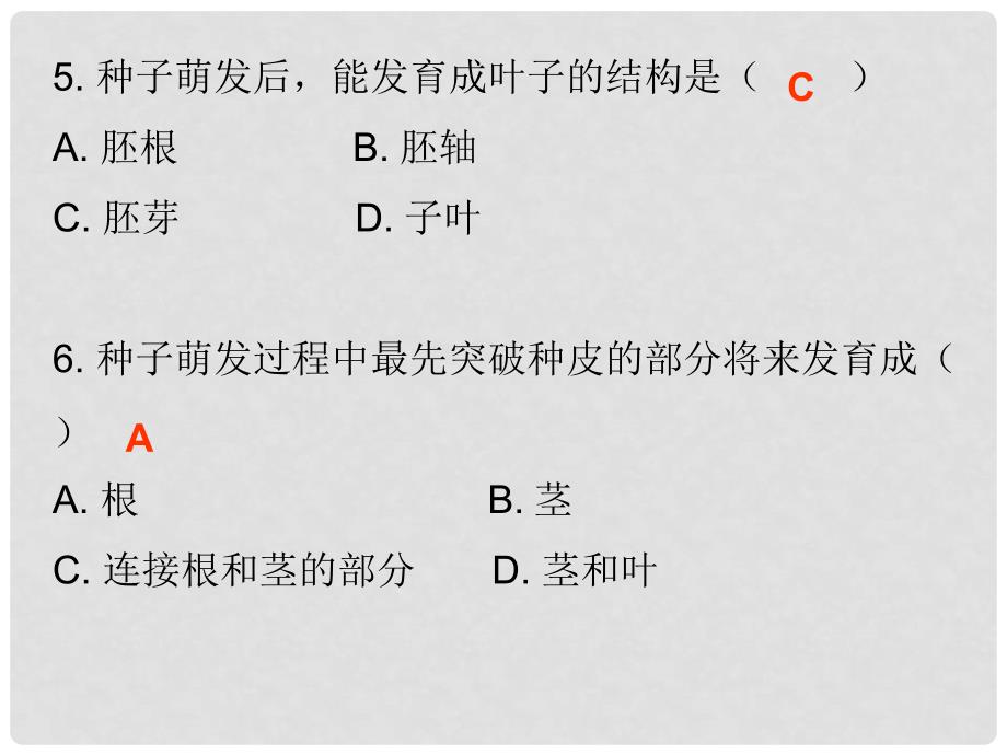 七年级生物上册 第6章 第1节 种子萌发形成幼苗课堂十分钟课件 （新版）北师大版_第4页