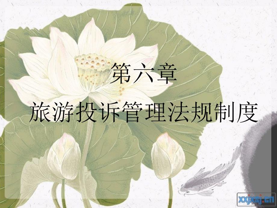 第六章旅游投诉管理法规制度_第1页