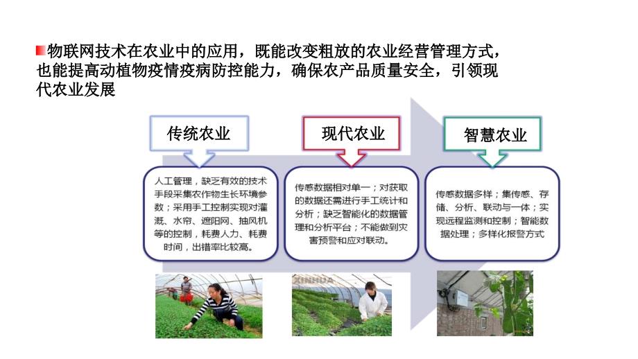 智慧农业整体解决方案PPT课件_第3页