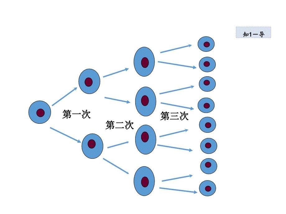 《有理数的乘方》_课件_第5页