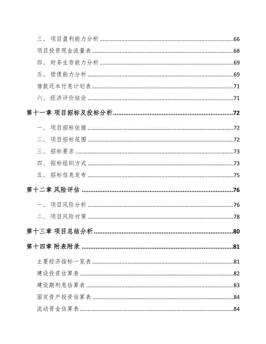 海南汽车零部件项目可行性研究报告(DOC 65页)_第5页