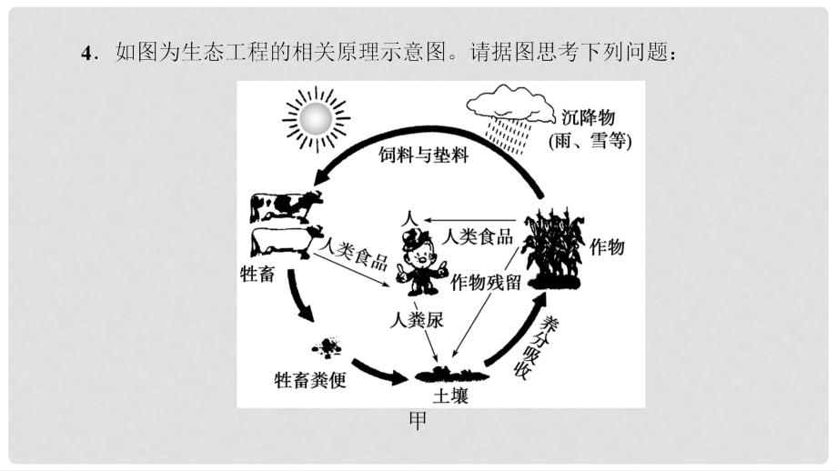 高三生物一轮复习 第4讲 生态工程课件 新人教版选修3_第4页