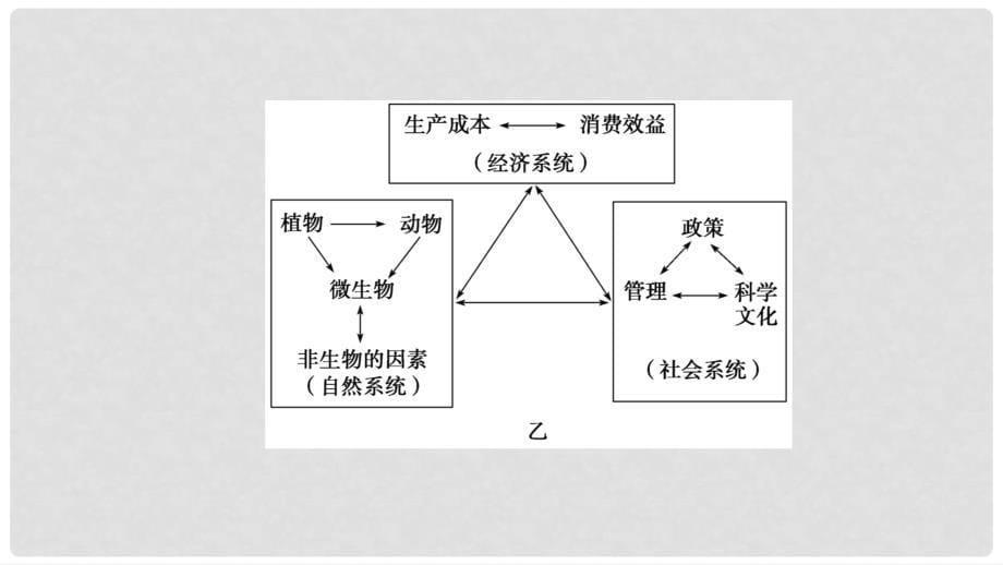 高三生物一轮复习 第4讲 生态工程课件 新人教版选修3_第5页