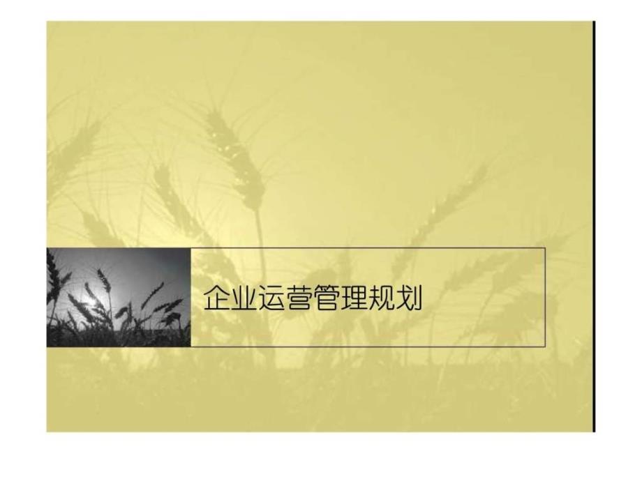 企业运营管理规划_第1页