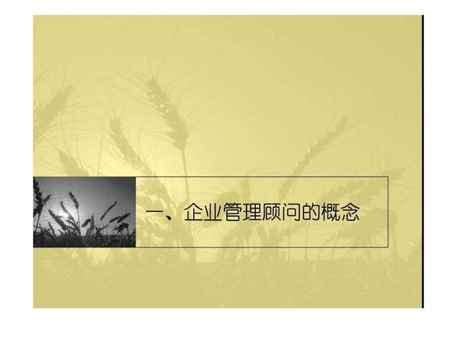 企业运营管理规划_第5页