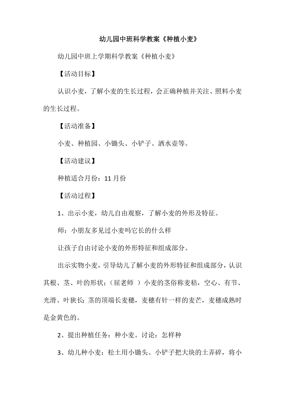 幼儿园中班科学教案《种植小麦》_第1页