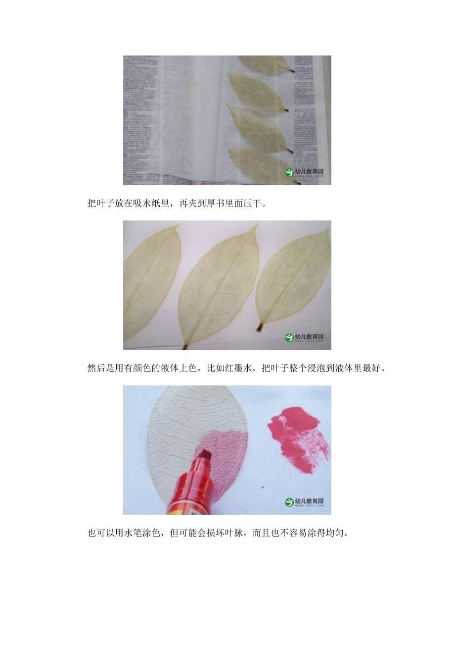 漂亮的树叶书签制作方法.docx_第5页