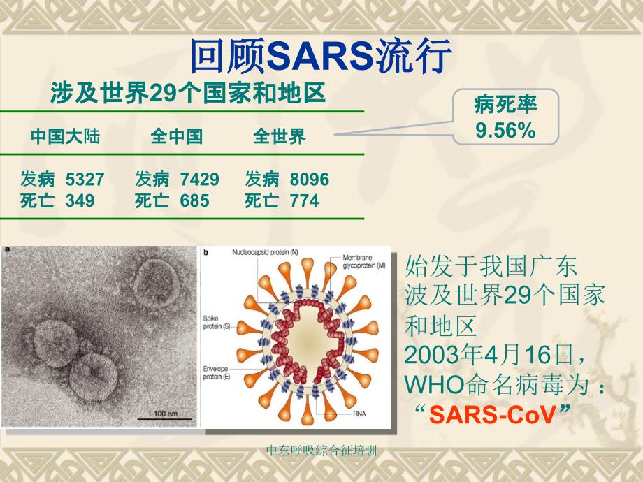 中东呼吸综合征培训课件_第4页